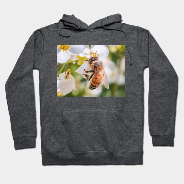 Pollen Collector. Photograph Hoodie by love-fi